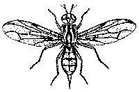 B6045da9def641c11f17a22b.jpg