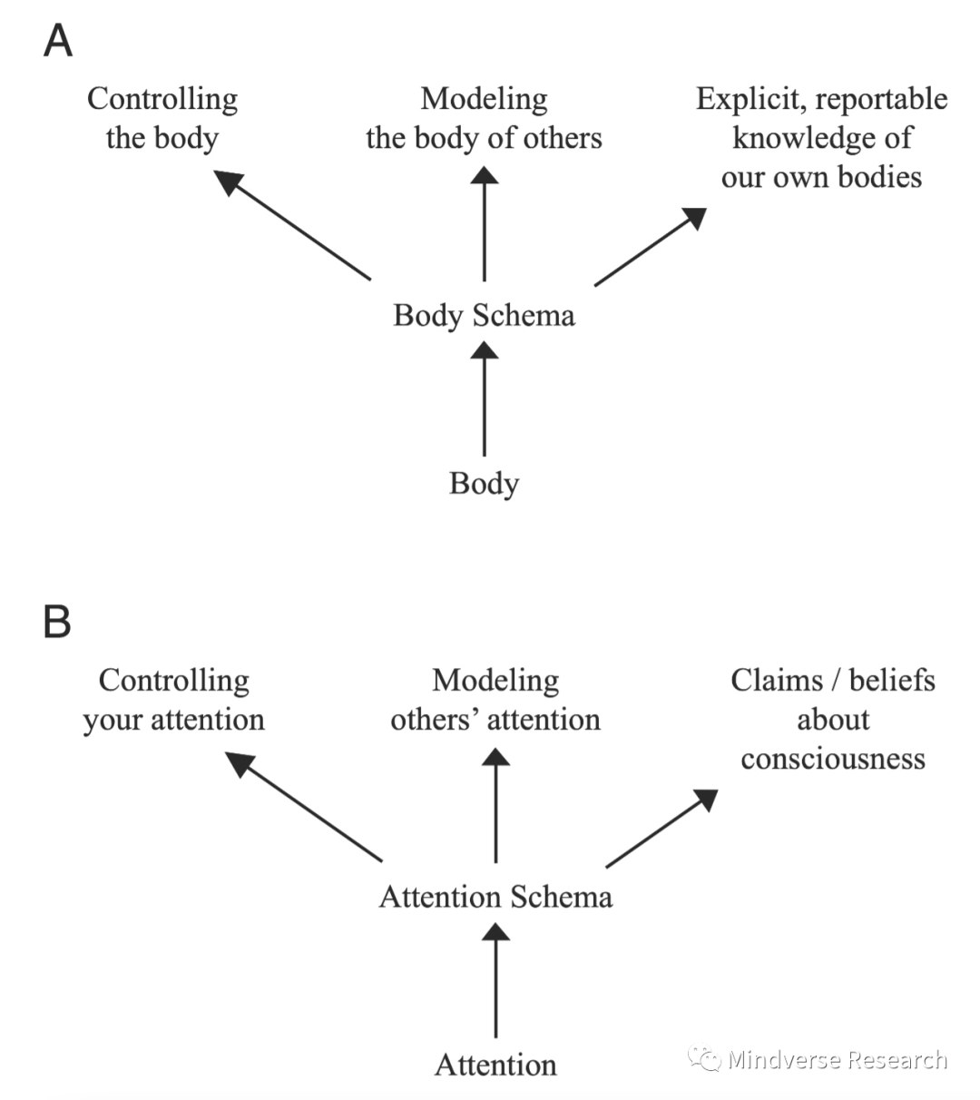 AGI & 意识科学6.png