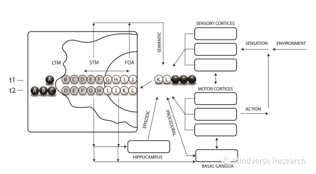 AGI & 意识科学4.png
