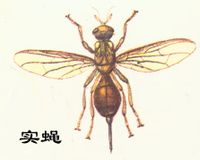 964b2e4e88e060d5d0c86a04.jpg