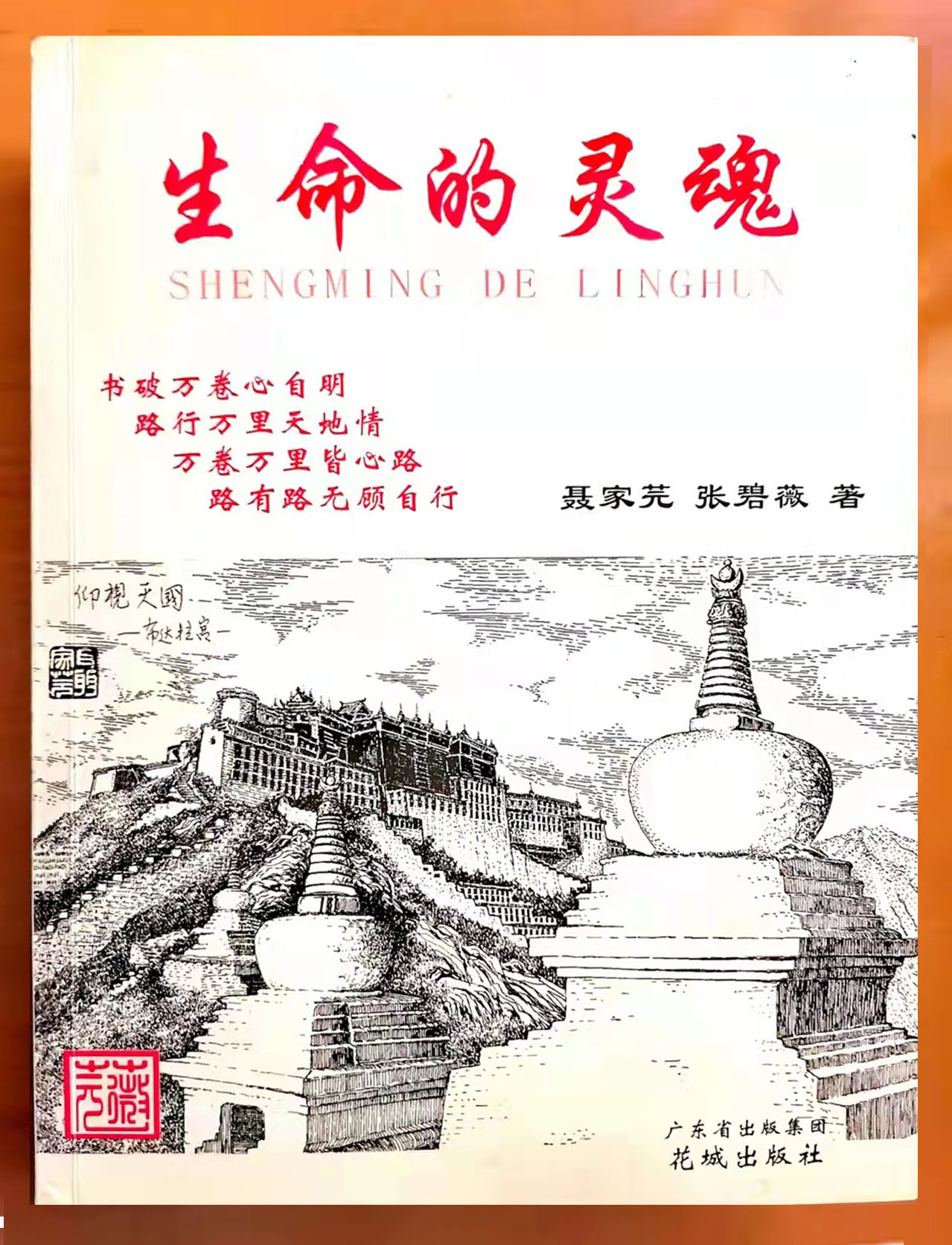 生命的灵魂-封面.jpg