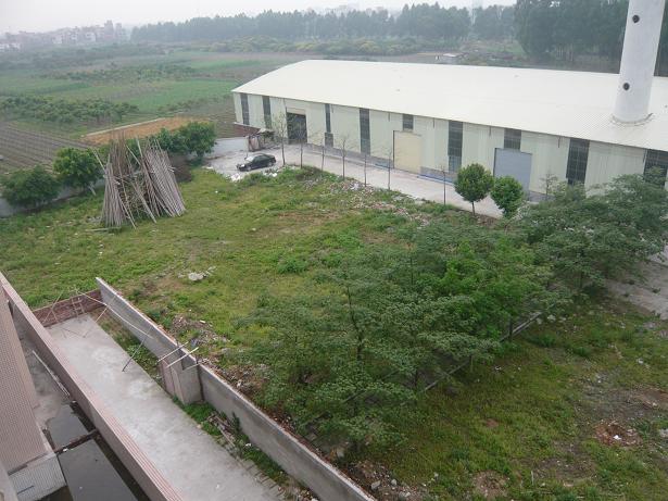 P1130791s.JPG